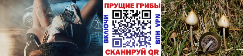 Галлюциногенные грибы GOLDEN TEACHER  Уржум 
